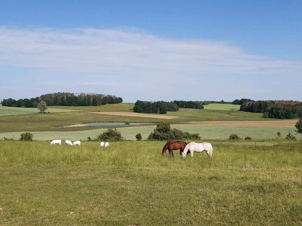 Ubytování U Křivánků Telč Exteriér fotografie