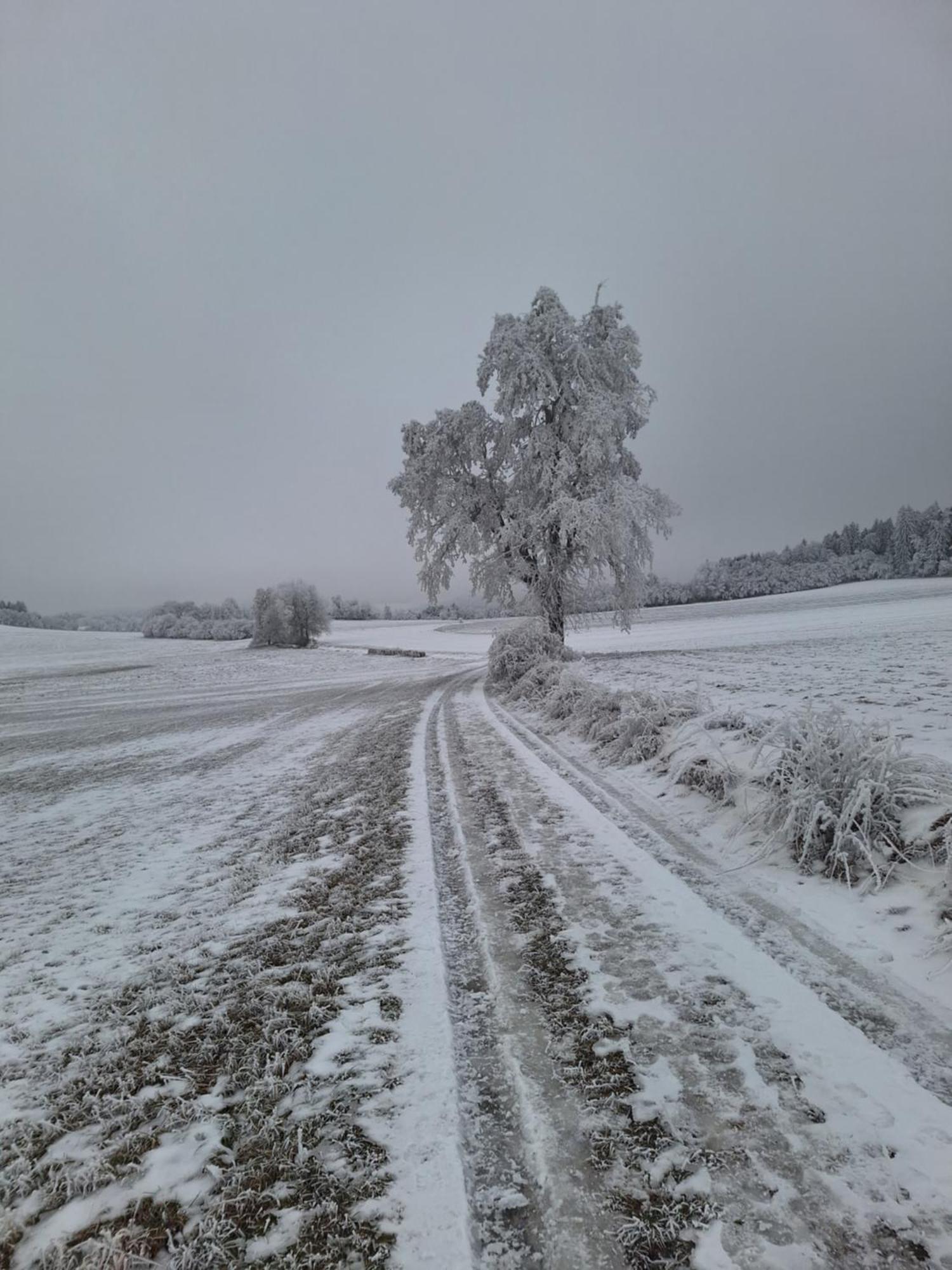 Ubytování U Křivánků Telč Exteriér fotografie