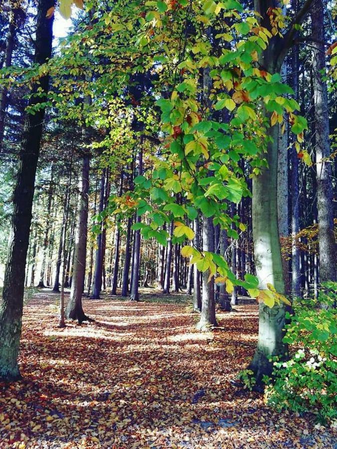 Ubytování U Křivánků Telč Exteriér fotografie